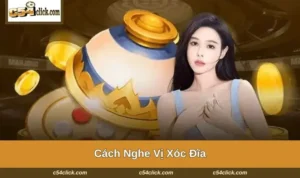 cach nghe vi xoc dia