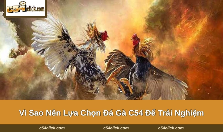 Những điểm mạnh nổi trội của sảnh chơi được lòng hội viên