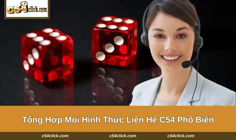 Những hình thức thức kết nối nhà cá phổ biến